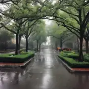 如果你想在下雨天在家附近散步去公园怎么办?