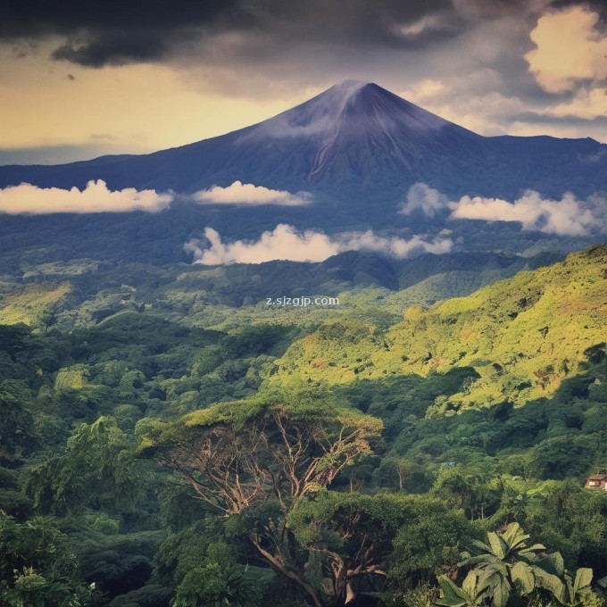 我想看火山直播但它没有显示我的相机为什么?