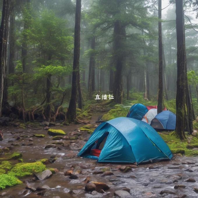 想要在下雨天去户外进行露营需要注意哪些安全问题?